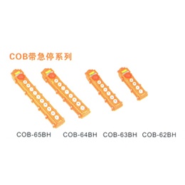 COB系列防雨型手电门