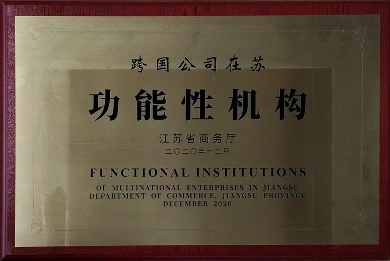 跨国公司在苏功能性机构