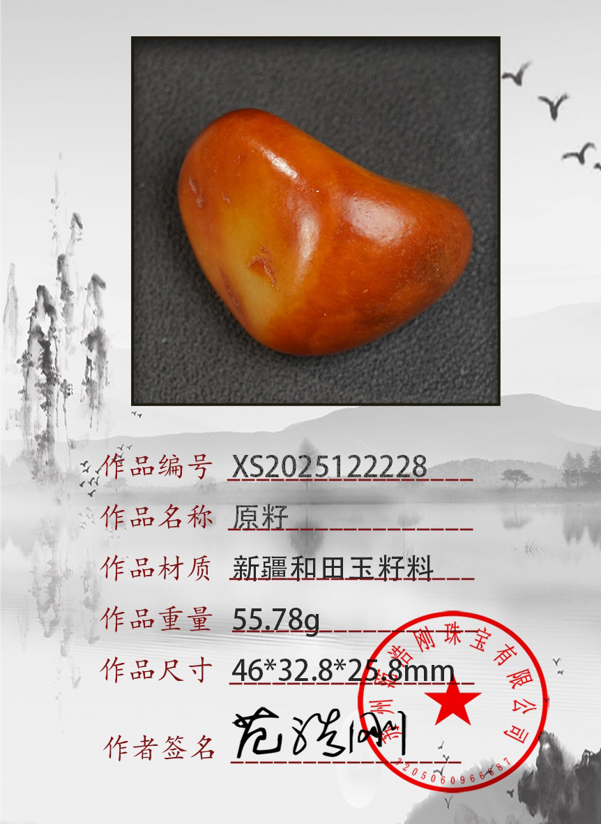 XS2025122228