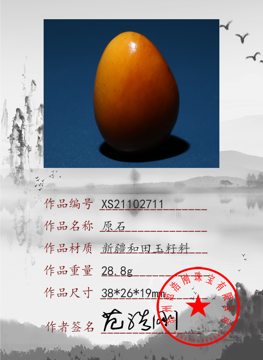 XS21102711