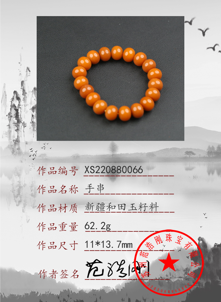 XS220880066
