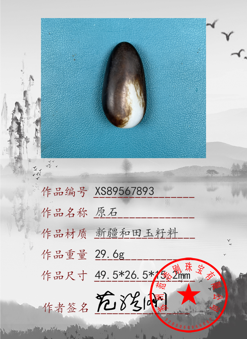 XS89567893