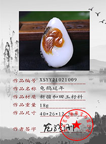 XSYY21021009