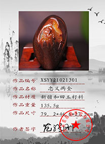 XSYY21021301