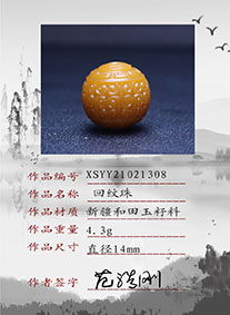 XSYY21021308