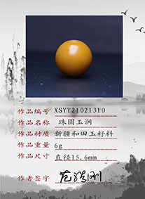 XSYY21021310