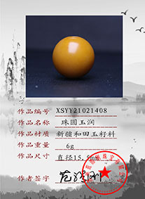 XSYY21021408