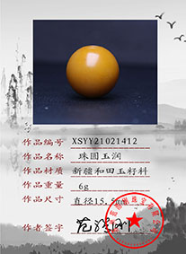 XSYY21021412