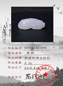 XSYY21021608