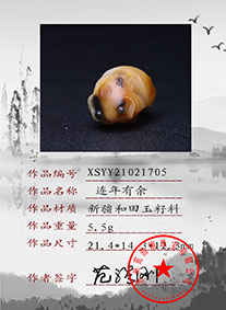 XSYY21021705