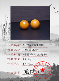 XSYY21021708