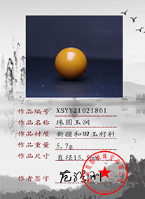 XSYY21021801