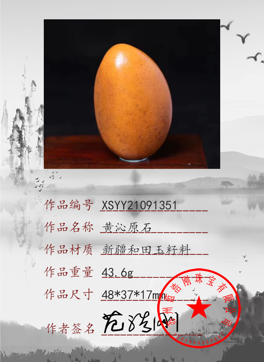 XSYY21091351