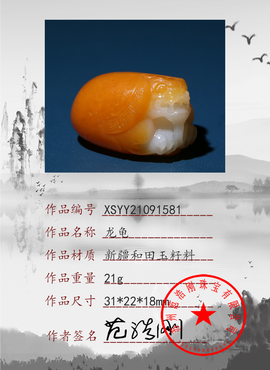 XSYY21091581