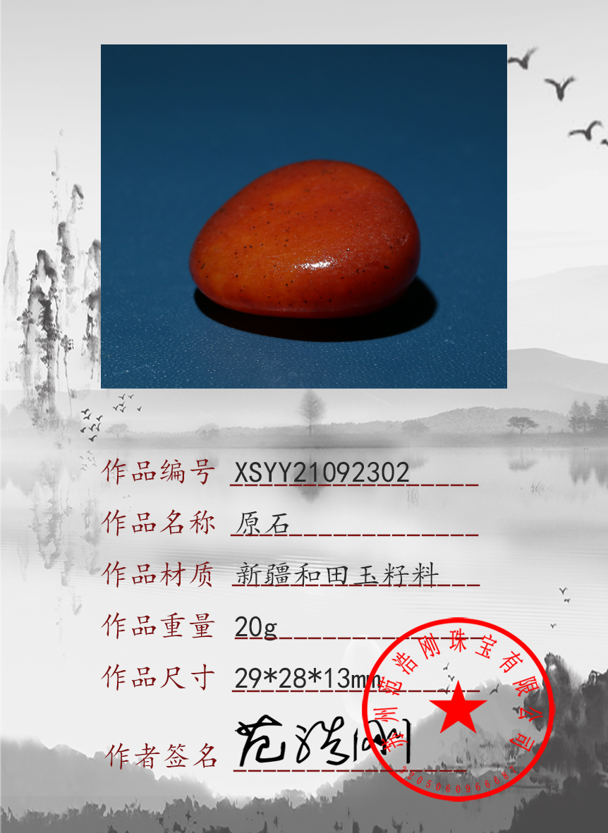 XSYY21092302