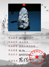 XSYY21101211