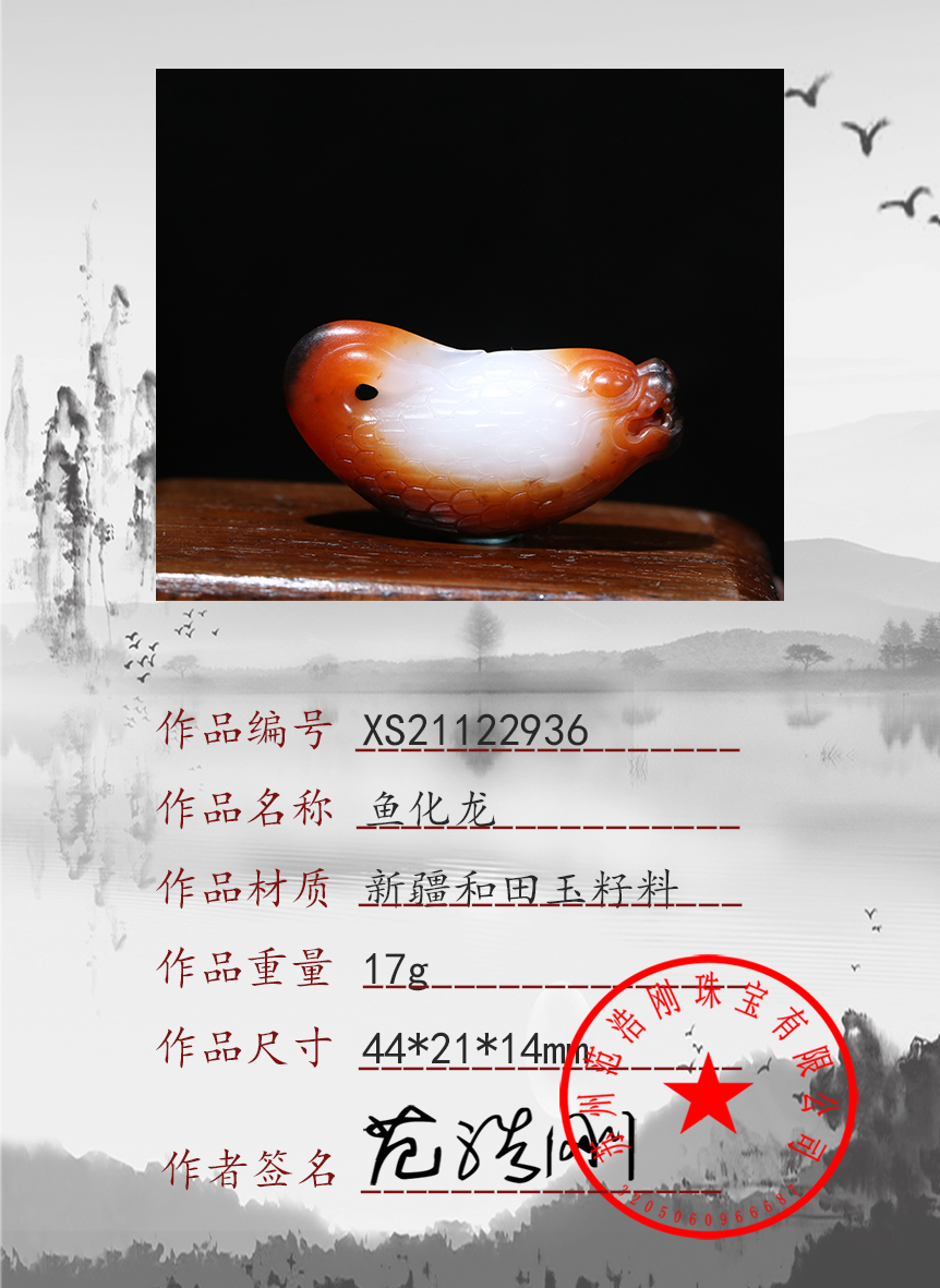 xs21122936