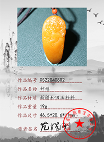 xs22040802