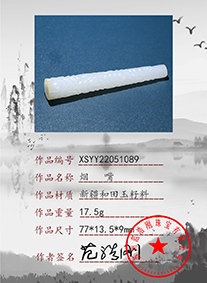 xs22051089
