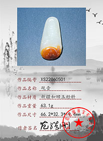 xs22060501