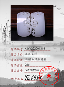 xsyy202001313
