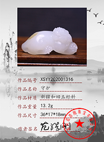 xsyy202001316