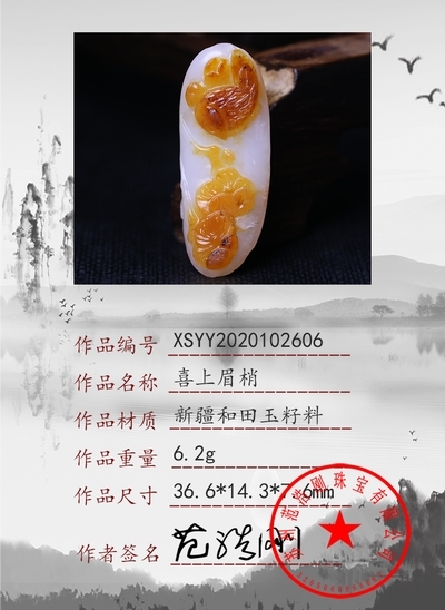 xsyy2020102606