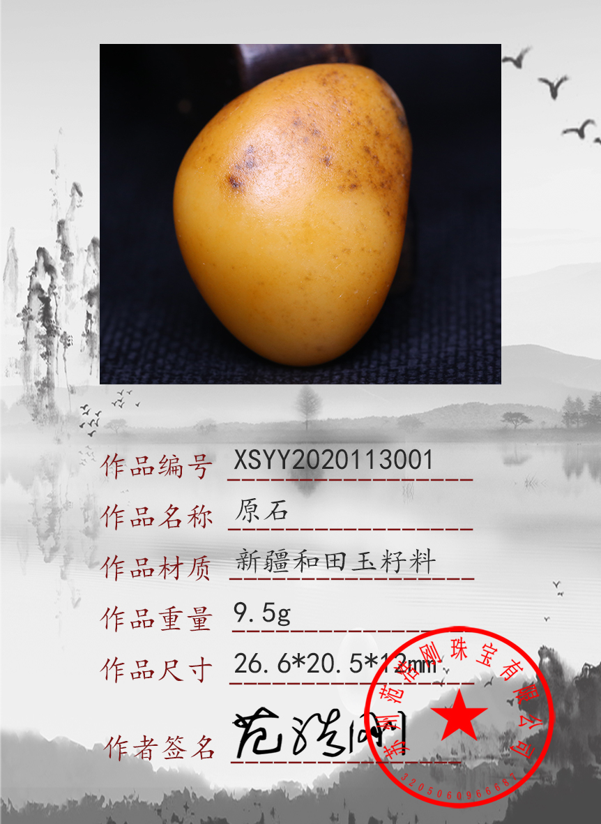 xsyy2020113001