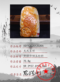 xsyy2020120205
