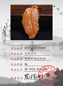 xsyy2020120208