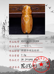 xsyy2020120209