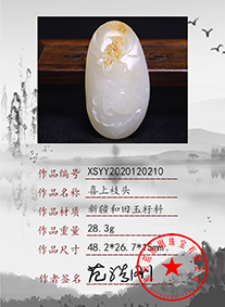 xsyy2020120210