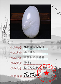 xsyy2020120211