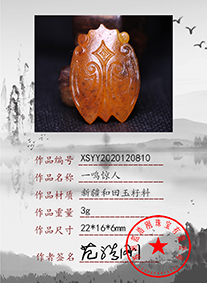 xsyy2020120810