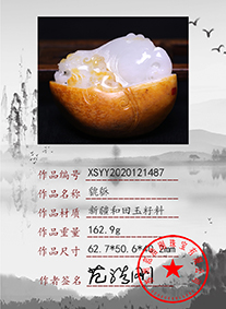 xsyy2020121487