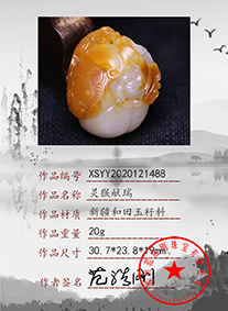xsyy2020121488
