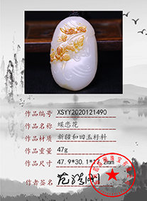 xsyy2020121490