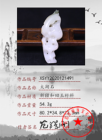 xsyy2020121491
