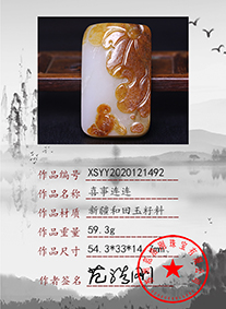 xsyy2020121492