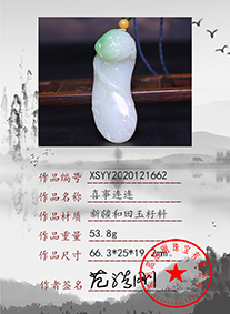 xsyy2020121662