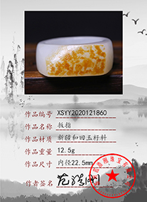 xsyy2020121860