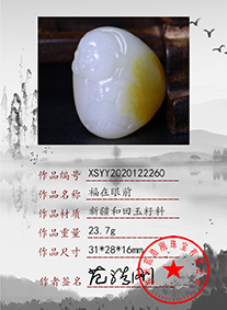xsyy2020122260