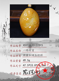 xsyy2020122515