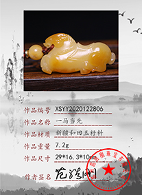 xsyy2020122806