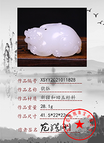 xsyy2021011828