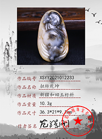 xsyy2021012233
