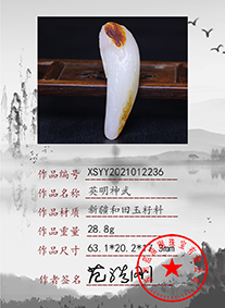 xsyy2021012236