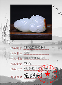 xsyy2021012241