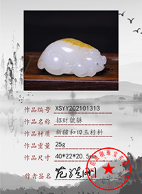 xsyy202101313