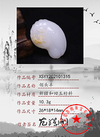 xsyy202101315